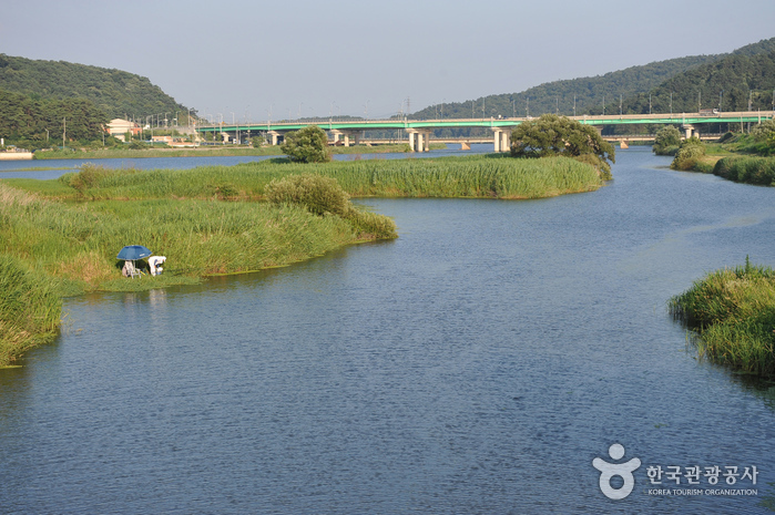 황룡강 물결 따라 걷는 장성의 봄 풍경 3 황룡강 물결 따라 걷는 장성의 봄 풍경